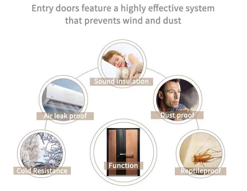 Pivot Doors Exterior